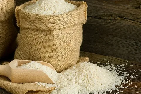 قیمت خرید برنج عنبر بو محلی عمده به صرفه و ارزان